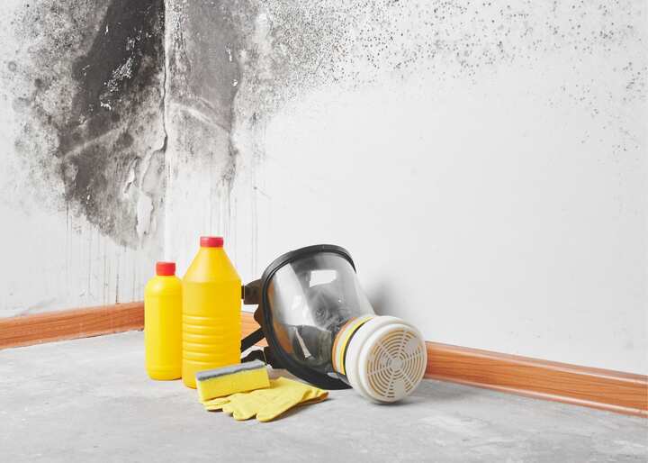 mold testing Colorado Springs