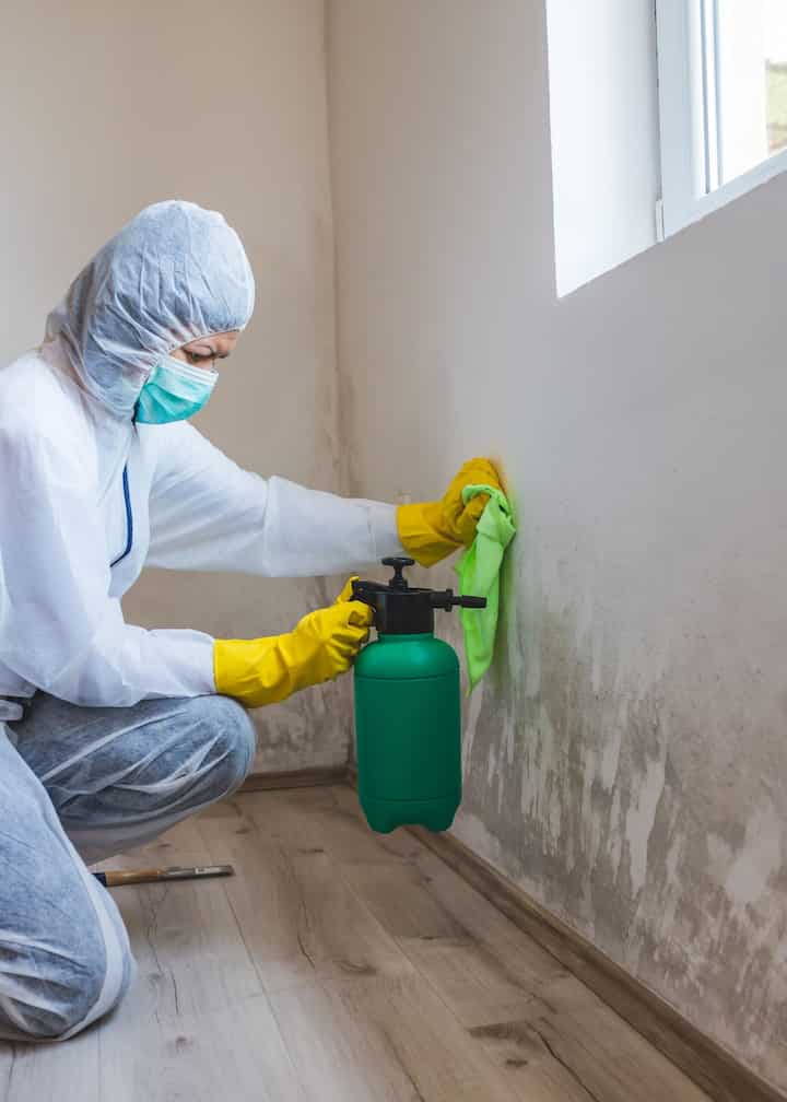 mold testing Colorado Springs