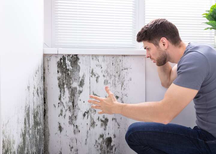 mold testing Colorado Springs