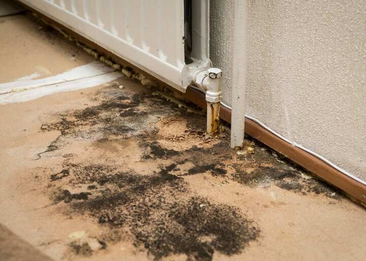 mold testing Colorado Springs