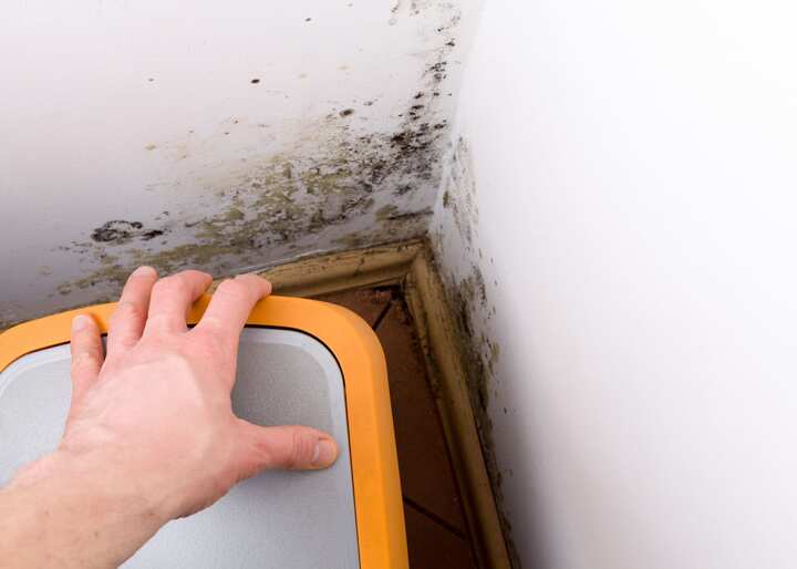 mold testing Colorado Springs