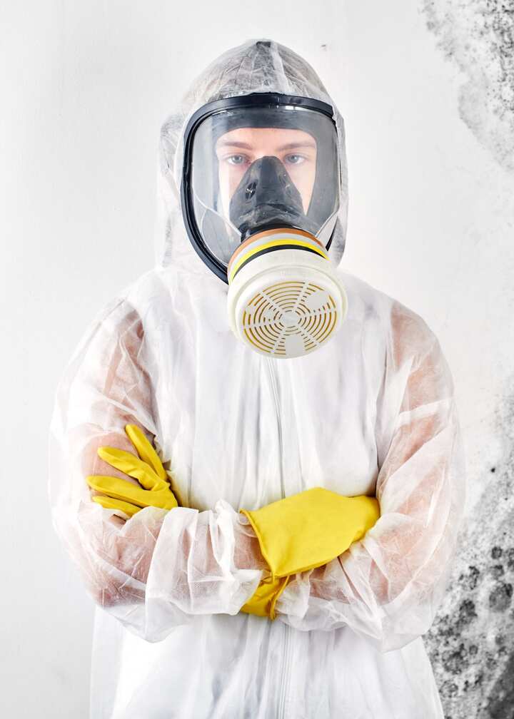 mold testing Colorado Springs