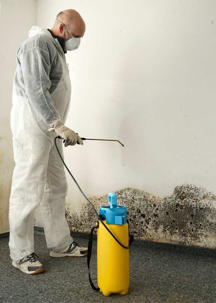 mold testing Colorado Springs