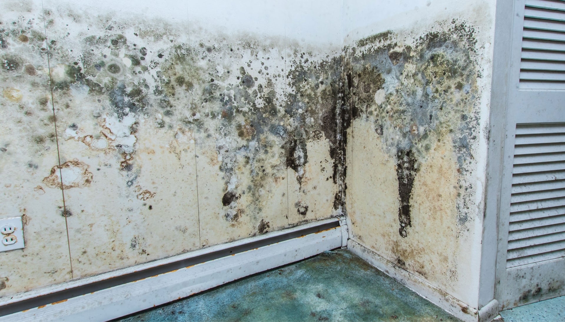 Mold-Damager-Odor-Control in Colorado Springs